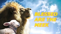 Are you a meek person? Matthew 5:5